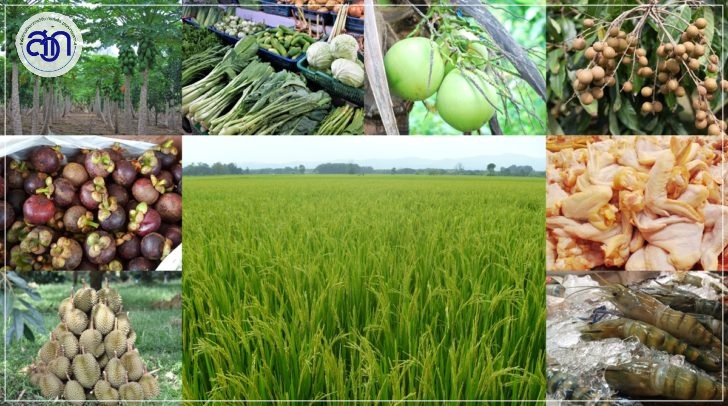 เกษตรเพื่อความมั่นคงทางอาหาร